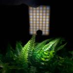 Mobile Phone Led Light